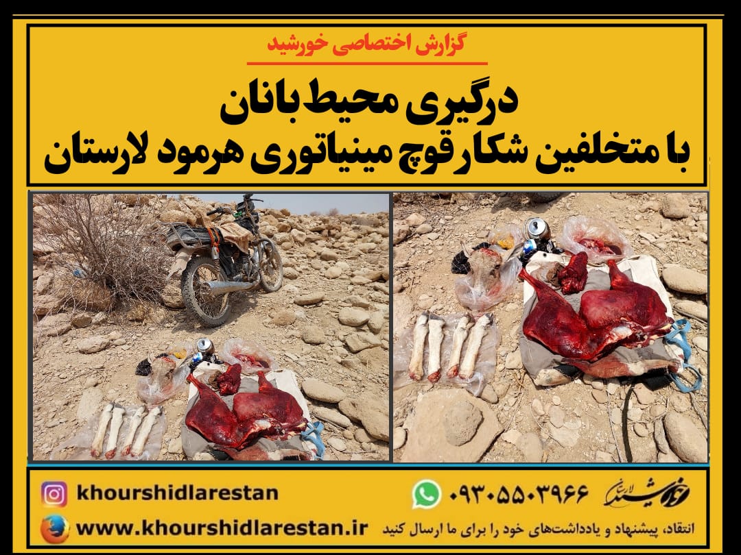 درگیری محیط‌بانان با متخلفین شکار قوچ مینیاتوری هرمود لارستان