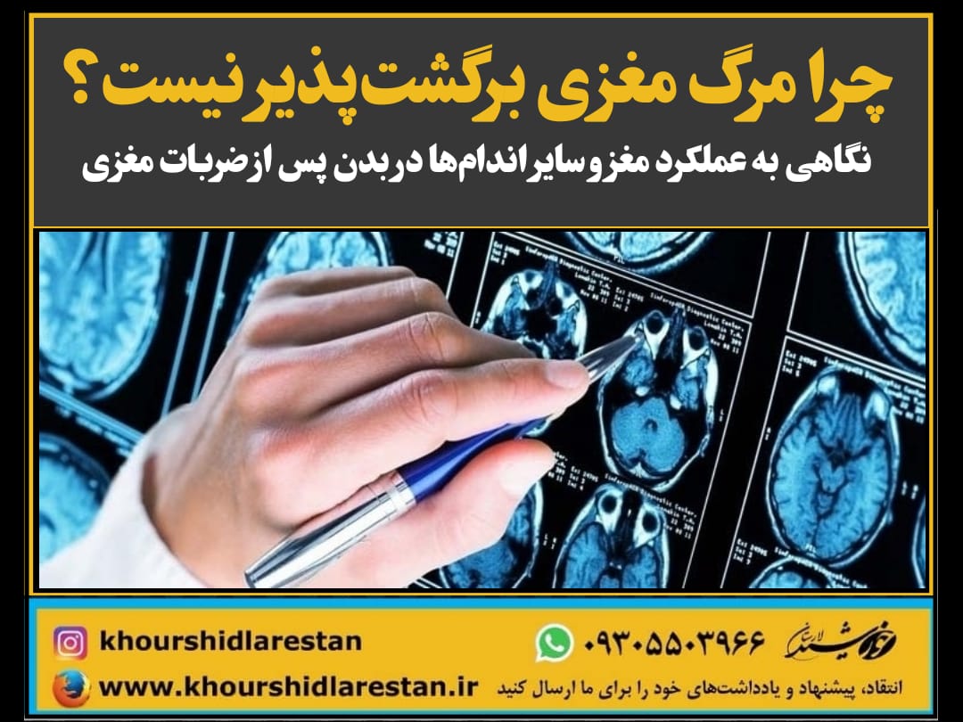 چرا مرگ مغزی برگشت‌پذیر نیست؟ (نگاهی به عملکرد مغز و سایر اندام‌ها در بدن پس از ضربات مغزی)