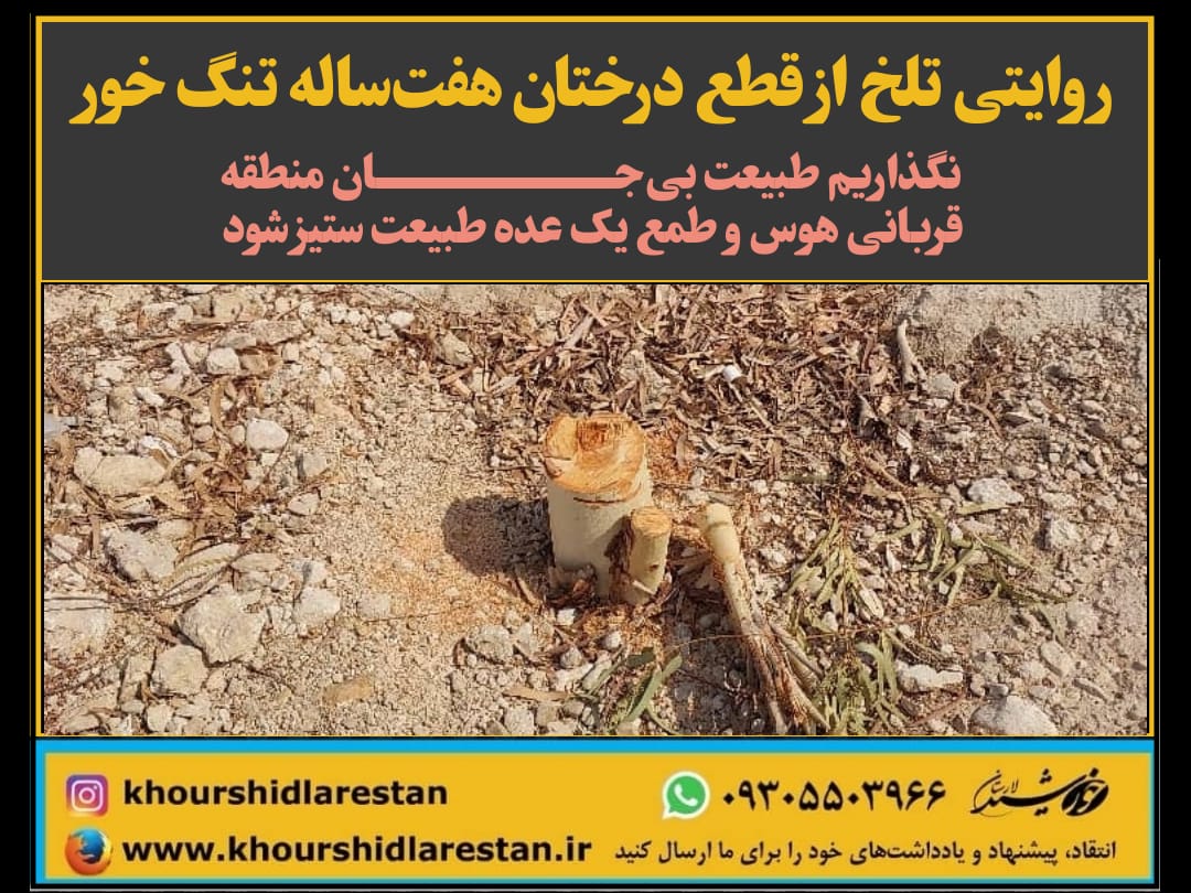 روایتی تلخ از قطع درختان هفت‌ساله تنگ خور: نگذاریم طبیعت بی‌جان منطقه قربانی هوس و طمع یک عده طبیعت‌ستیز شود
